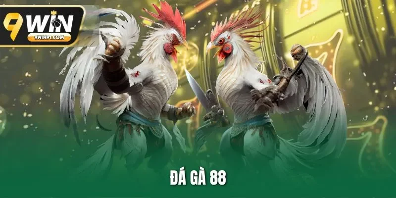 Đá gà 88 - Sảnh chọi kê đáng trải nghiệm nhất 2025