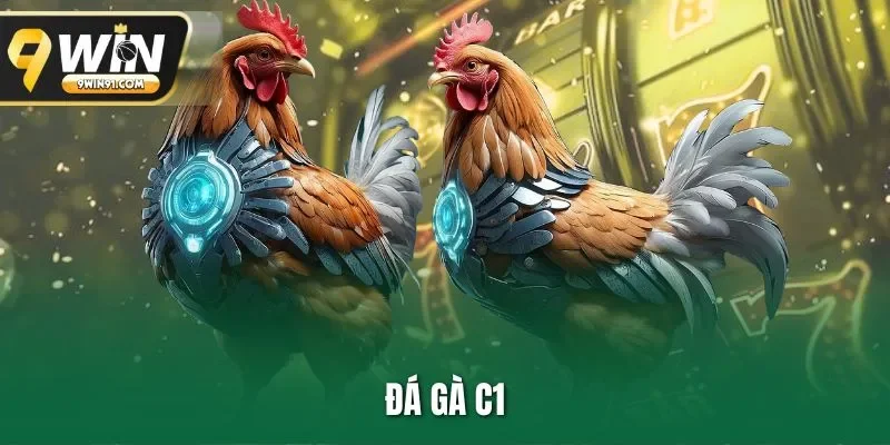 Đá Gà C1 | Màn Tranh Tài Đẳng Cấp Khu Vực Châu Á