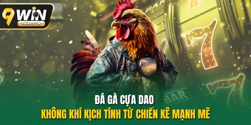 Đá gà cựa dao - Không khí kịch tính từ chiến kê mạnh mẽ