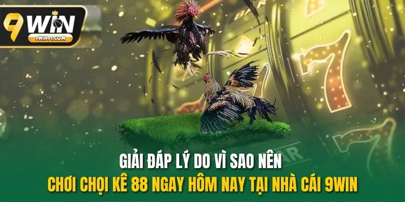 Giải đáp lý do vì sao nên chơi chọi kê 88 ngay hôm nay tại nhà cái 9WIN