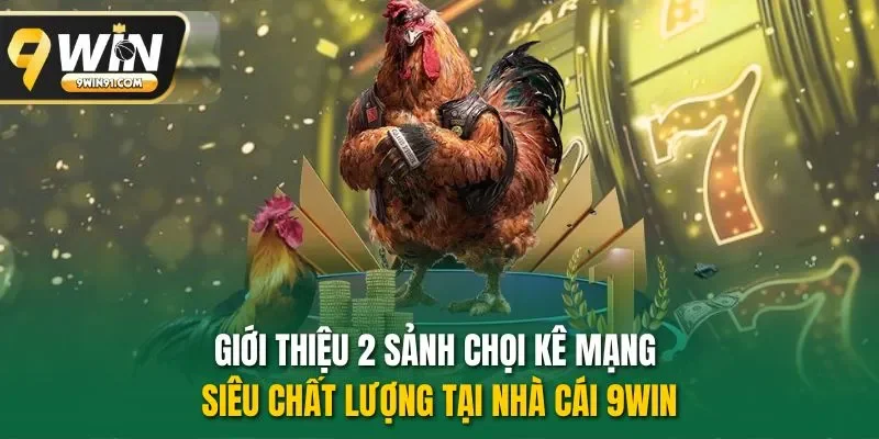 Giới thiệu 2 sảnh chọi kê mạng siêu chất lượng tại nhà cái 9WIN