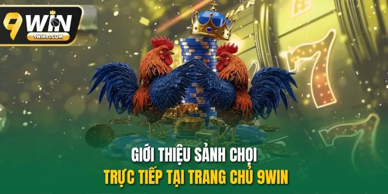 Giới thiệu sảnh chọi trực tiếp tại trang chủ 9WIN