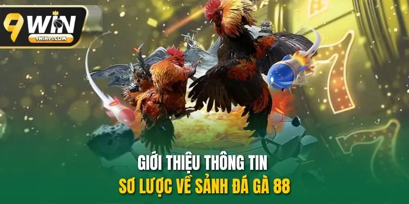Giới thiệu thông tin sơ lược về sảnh đá gà 88