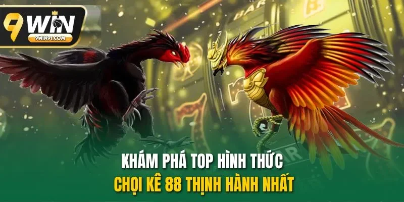 Khám phá top hình thức chọi kê 88 thịnh hành nhất