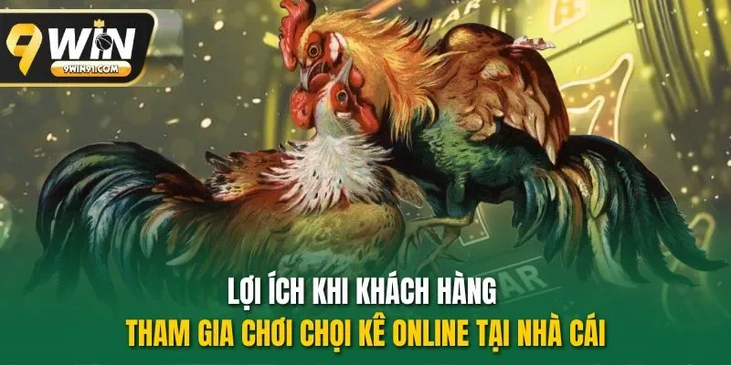 Lợi ích khi khách hàng tham gia chơi chọi kê online tại nhà cái