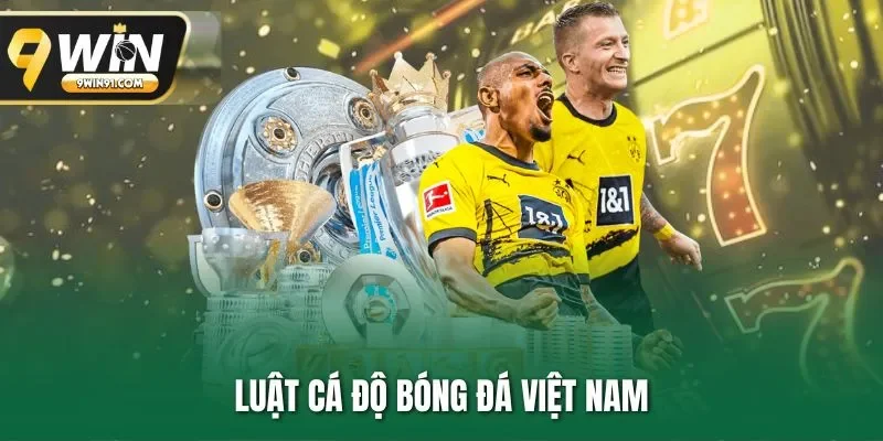 Luật Cá Độ Bóng Đá Tại Việt Nam | 3 Lưu Ý Hội Viên 9WIN Cần Biết