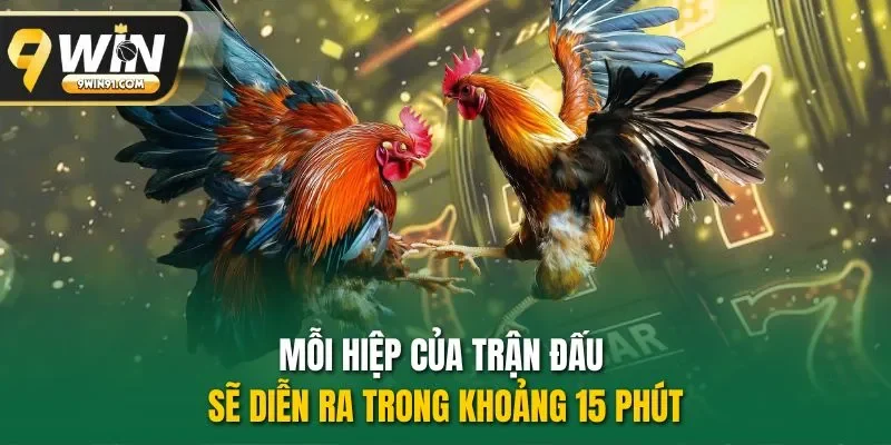 Mỗi hiệp của trận đấu sẽ diễn ra trong khoảng 15 phút