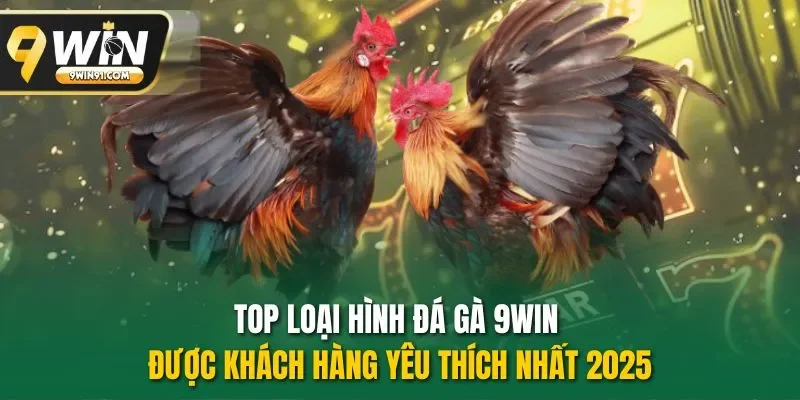 Top loại hình đá gà 9WIN được khách hàng yêu thích nhất 2025