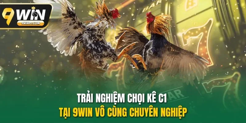 Trải nghiệm chọi kê C1 tại 9WIN vô cùng chuyên nghiệp