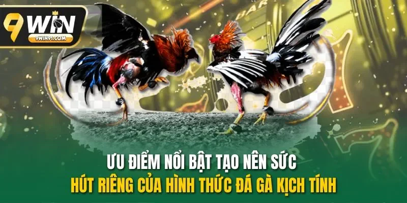 Ưu điểm nổi bật tạo nên sức hút riêng của hình thức đá gà kịch tính